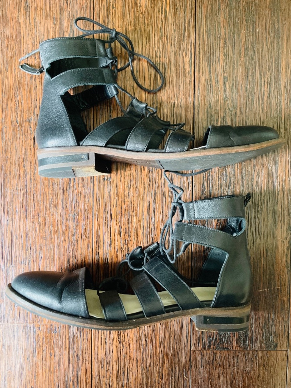 FREDA SALVADOR Back Zip Ghillie Gladiator Lace-Up Oxford in Black